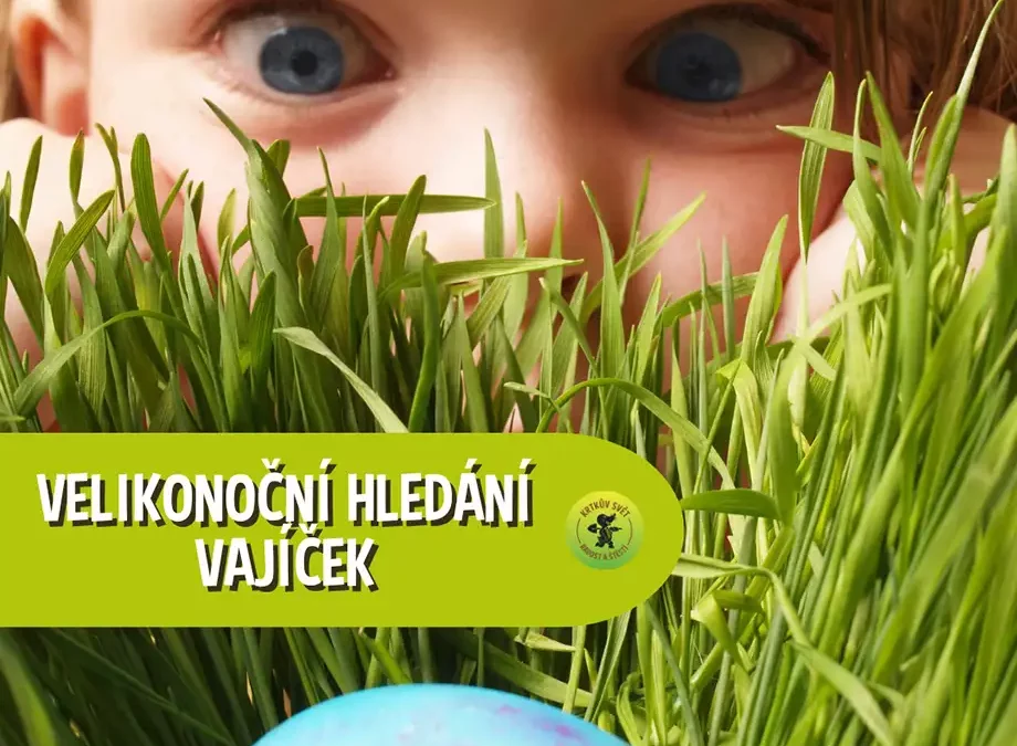 Velikonoční hledání vajíček